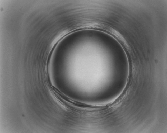 X0000063481234200601231339