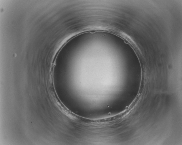 X0000063481236200601231339