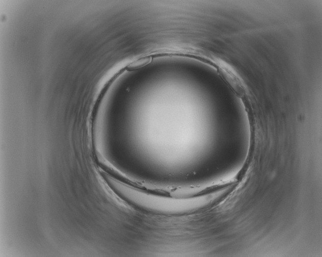 X0000063481238200601231339