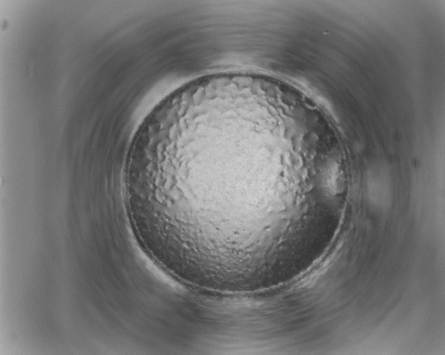 X0000063481239200601231339