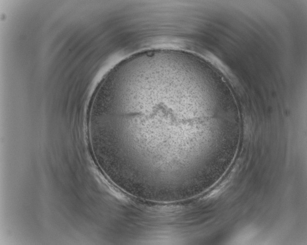 X0000063481240200601231339