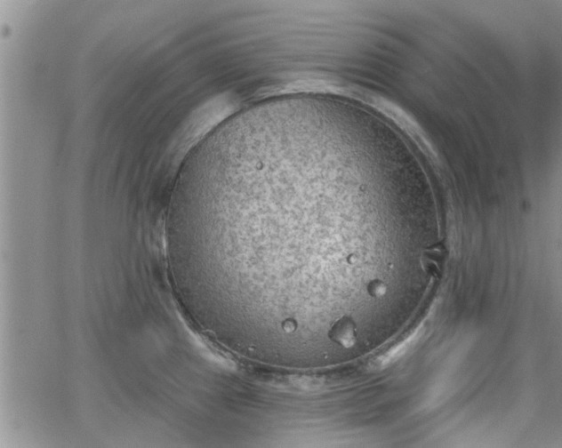 X0000063481241200601231339