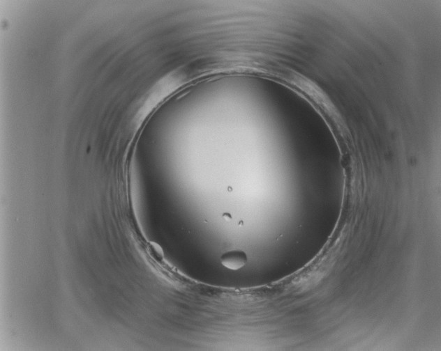 X0000063481242200601231339