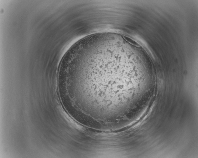 X0000063481244200601231339