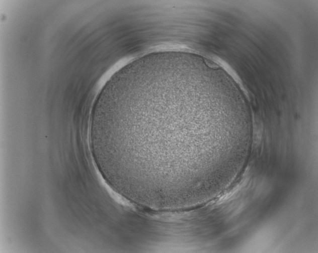 X0000063481245200601231339