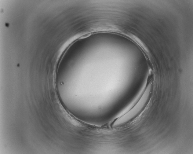 X0000063481246200601231339