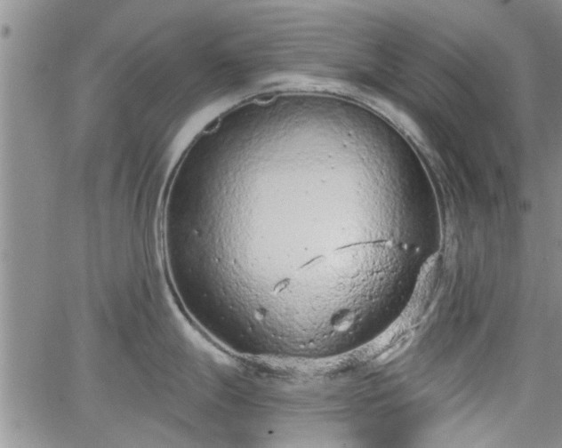 X0000063481247200601231339