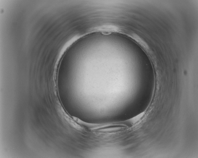 X0000063481248200601231339