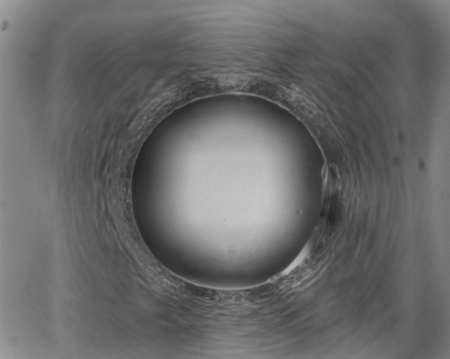 X0000063481249200601231338