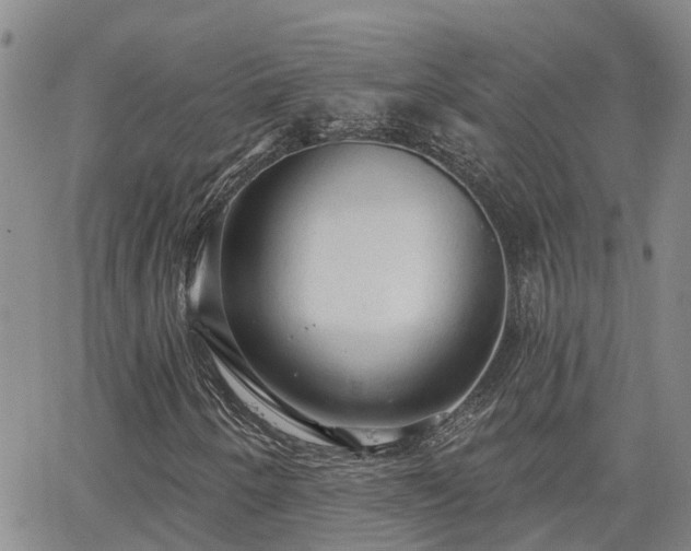 X0000063481250200601231338