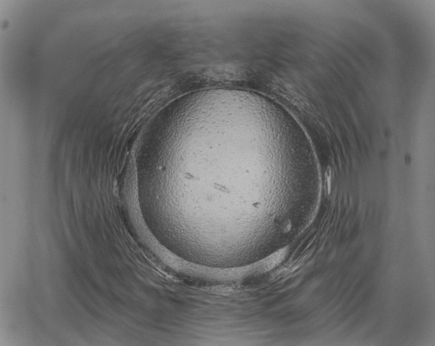 X0000063481251200601231338