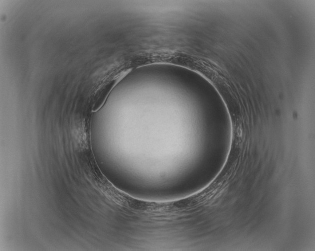 X0000063481252200601231338