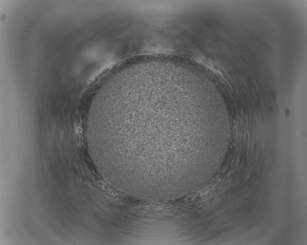 X0000063481254200601231338