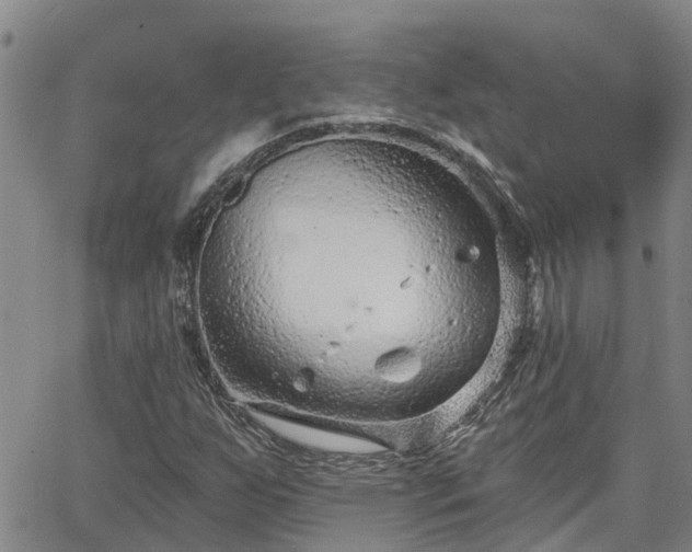 X0000063481255200601231338