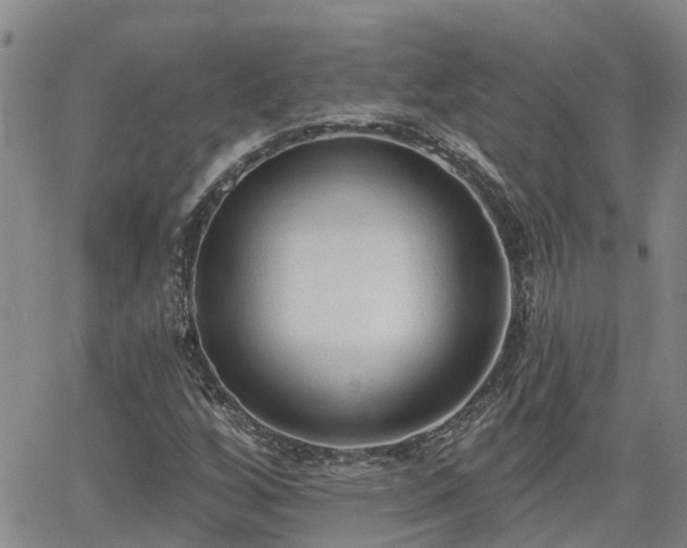 X0000063481256200601231338