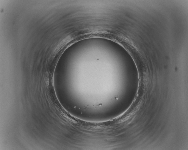 X0000063481257200601231338