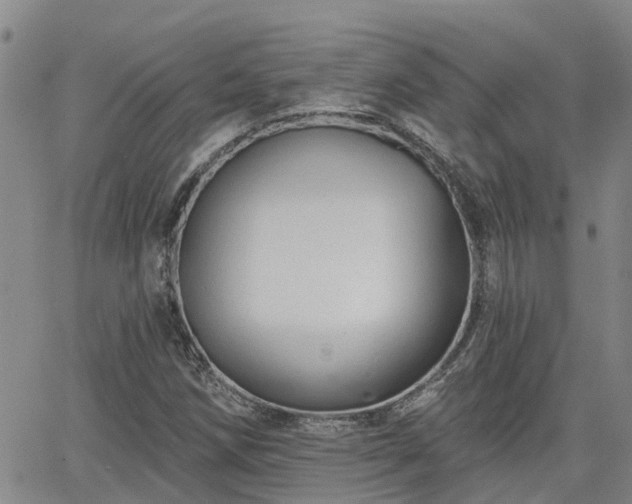 X0000063481258200601231338