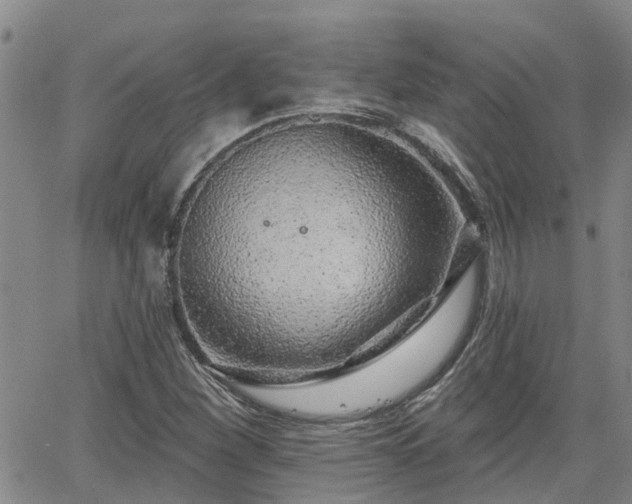 X0000063481260200601231338