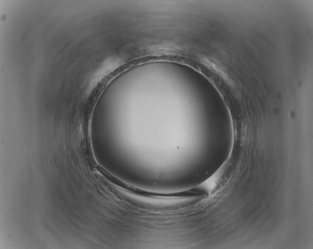 X0000063481261200601231338