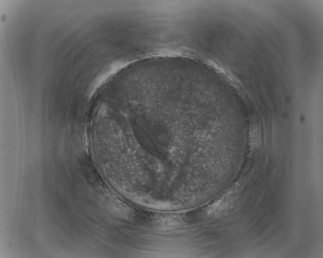 X0000063481262200601231338