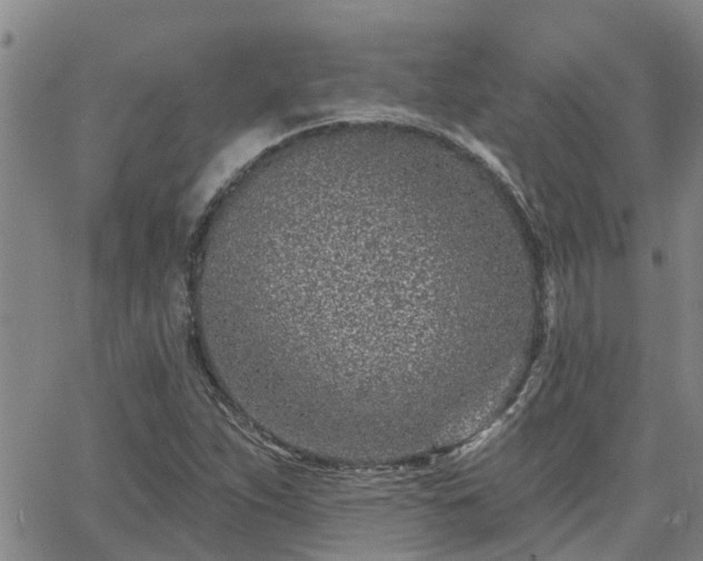 X0000063481263200601231338