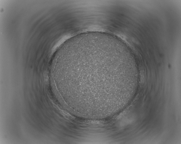 X0000063481266200601231338