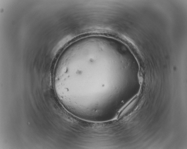 X0000063481267200601231338