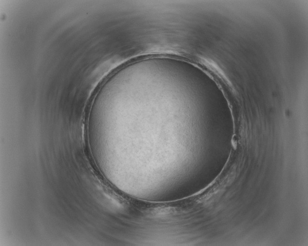 X0000063481268200601231338