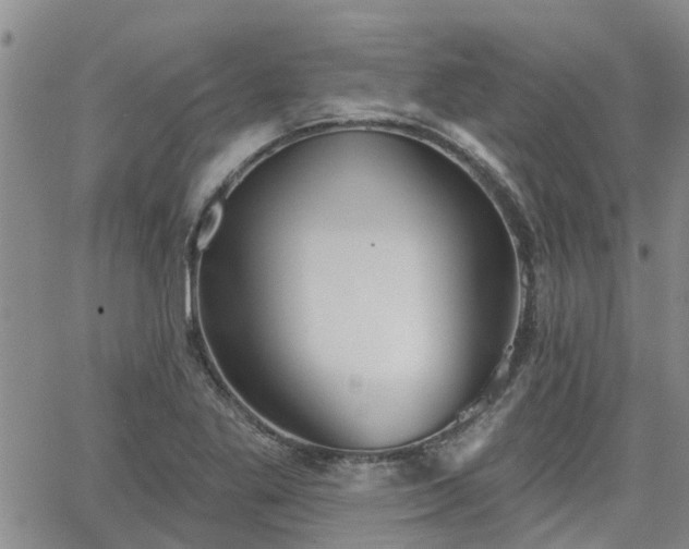 X0000063481269200601231338