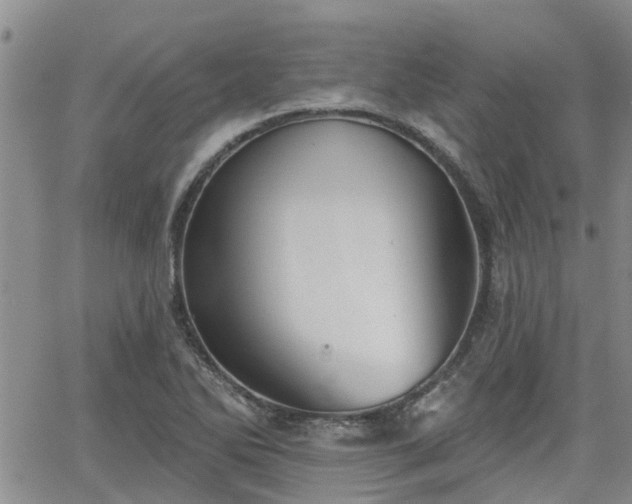 X0000063481270200601231338