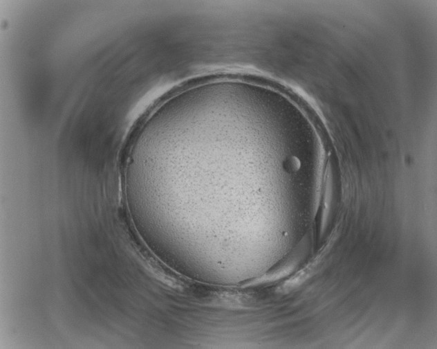 X0000063481271200601231338