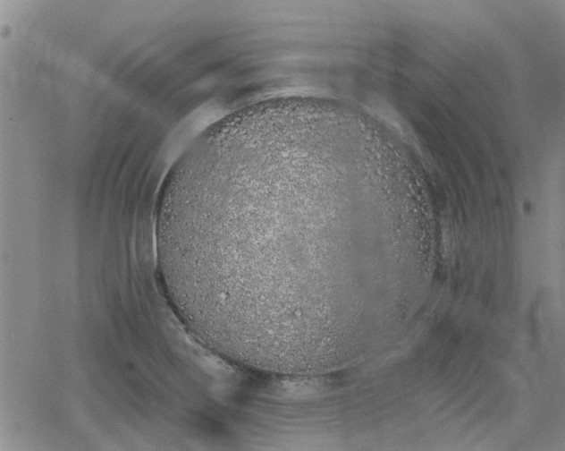 X0000063481274200601231338