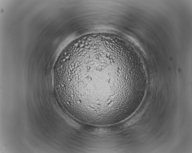 X0000063481275200601231338