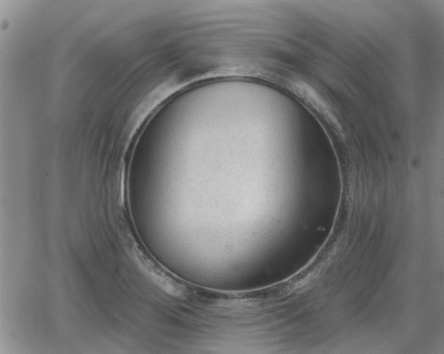 X0000063481276200601231338