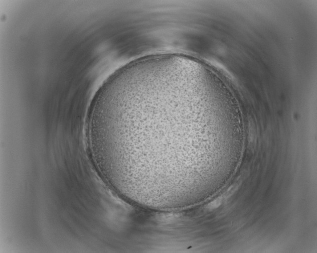 X0000063481278200601231338