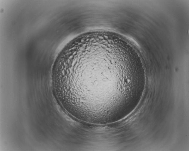 X0000063481279200601231338