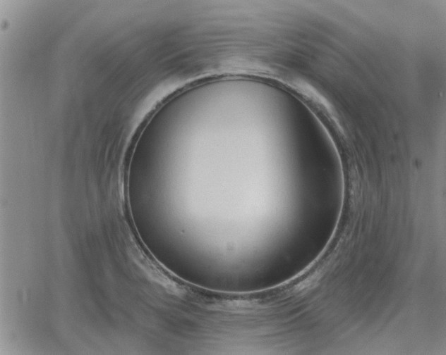 X0000063481280200601231337