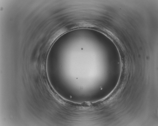 X0000063481281200601231337