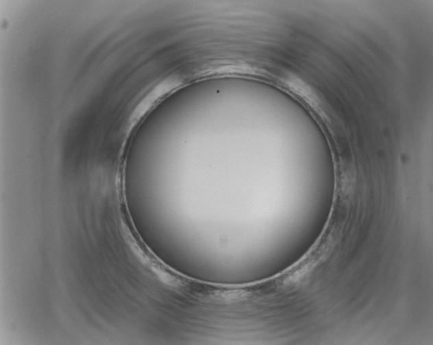 X0000063481282200601231337