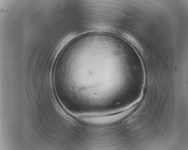 X0000063481283200601231337