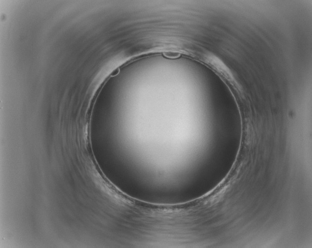 X0000063481284200601231337