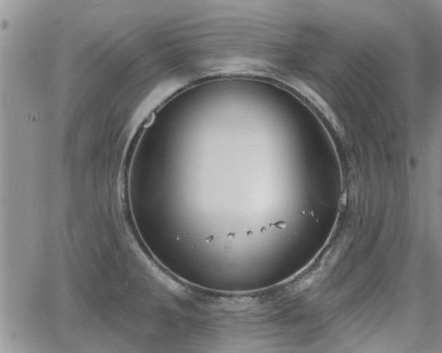 X0000063481285200601231337