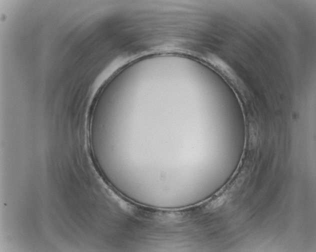 X0000063481286200601231337