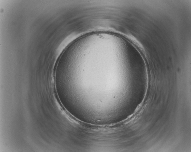 X0000063481287200601231337