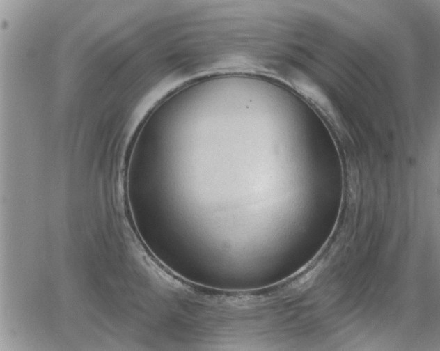 X0000063481288200601231337