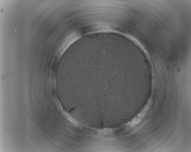 X0000063481289200601231337