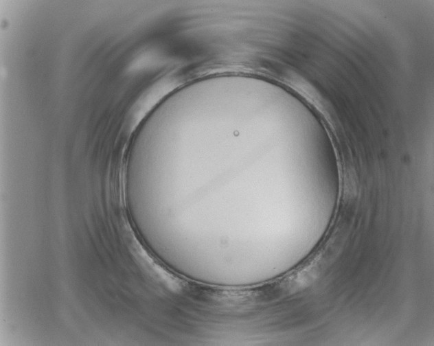 X0000063481290200601231337