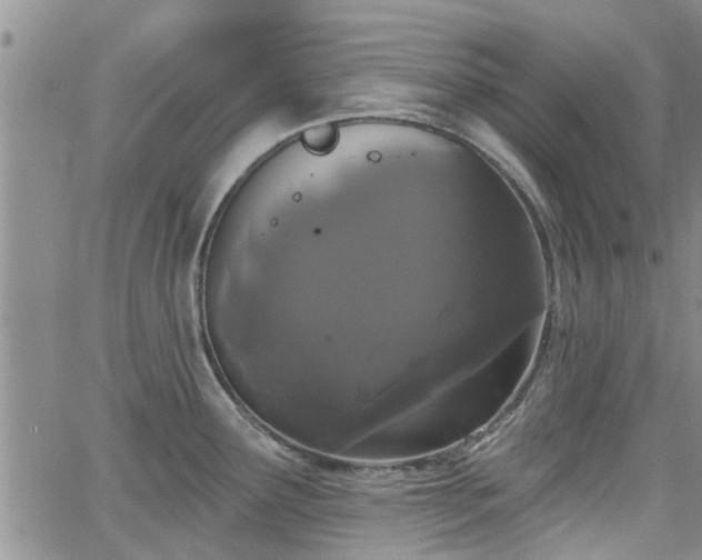 X0000063481291200601231337