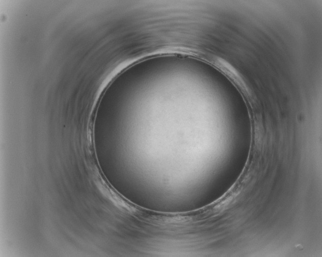 X0000063481292200601231337