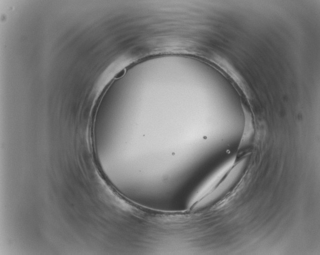 X0000063481293200601231337